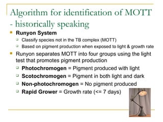 Algorithm for identification of MOTT
- historically speaking
 Runyon System
 Classify species not in the TB complex (MOT...