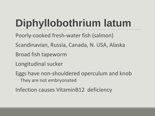 Diphyllobothrium latum
Poorly-cooked fresh-water fish (salmon)
Scandinavian, Russia, Canada, N. USA, Alaska
Broad fish tapeworm
Longitudinal sucker
Eggs have non-shouldered operculum and knob
◦They are not embryonated
Infection causes VitaminB12 deficiency
 