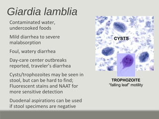Giardia lamblia
Contaminated water,
undercooked foods
Mild diarrhea to severe
malabsorption
Foul, watery diarrhea
Day-care center outbreaks
reported, traveler’s diarrhea
Cysts/trophozoites may be seen in
stool, but can be hard to find;
Fluorescent stains and NAAT for
more sensitive detection
Duodenal aspirations can be used
if stool specimens are negative
TROPHOZOITE
“falling leaf” motility
CYSTS
 
