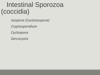 Intestinal Sporozoa
(coccidia)
Isospora (Cystoisospora)
Cryptosporidium
Cyclospora
Sarcocystis
 