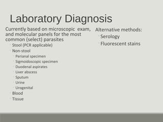 Laboratory Diagnosis
Currently based on microscopic exam,
and molecular panels for the most
common (select) parasites
◦Stool (PCR applicable)
◦Non-stool
◦ Perianal specimen
◦ Sigmoidoscopic specimen
◦ Duodenal aspirates
◦ Liver abscess
◦ Sputum
◦ Urine
◦ Urogenital
◦Blood
◦Tissue
Alternative methods:
◦Serology
◦Fluorescent stains
 