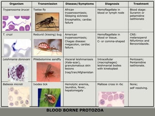 None;None;
self resolving.self resolving.
Maltese cross in rbcMaltese cross in rbcHemolytic anemia,Hemolytic anemia,
Jaundice, fever,Jaundice, fever,
hepatomegalyhepatomegaly
Ixodes tickIxodes tickBabesia microtiBabesia microti
Pentosam;Pentosam;
PentamidinePentamidine
isethionate.isethionate.
IntracellularIntracellular
(macrophages)(macrophages)
leishmanial bodiesleishmanial bodies
with kinetoplastwith kinetoplast
Visceral leishmaniasisVisceral leishmaniasis
(Kala-azar),(Kala-azar),
granulomatous skingranulomatous skin
lesionslesions
Iraq/Iran/AfghanistanIraq/Iran/Afghanistan
Phlebotomine sandflyPhlebotomine sandflyLeishmania donovaniLeishmania donovani
CNS:CNS:
melarsoperolmelarsoperol
Nifurtimox andNifurtimox and
Benzonidazole.Benzonidazole.
Hemoflagellate inHemoflagellate in
blood or tissue.blood or tissue.
C- or comma-shapedC- or comma-shaped
AmericanAmerican
trypanosomiasis;trypanosomiasis;
Chagas disease:Chagas disease:
megacolon, cardiacmegacolon, cardiac
failure.failure.
Reduvid (kissing) bugReduvid (kissing) bugT. cruziT. cruzi
Blood stage:Blood stage:
Suramin orSuramin or
petamidinepetamidine
isethionateisethionate
Hemoflagellate inHemoflagellate in
blood or lymph nodeblood or lymph node
AfricanAfrican
trypanosomiasis;trypanosomiasis;
Sleeping sicknessSleeping sickness
Encephalitis; cardiacEncephalitis; cardiac
failurefailure
Tsetse flyTsetse flyTrypanosoma bruceiTrypanosoma brucei
TreatmentTreatmentDiagnosisDiagnosisDisease/SymptomsDisease/SymptomsTransmissionTransmissionOrganismOrganism
BLOOD BORNE PROTOZOA
 
