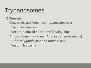 Trypanosomes
2 Diseases
◦Chagas disease (American trypanosomiasis)
◦Trypanosoma cruzi
◦Vector: Reduviid / Triatome (kissing) bug
◦African sleeping sickness (African trypanosomiasis)
◦T. brucei (gambiense and rhodesiense)
◦Vector: Tsetse fly
 