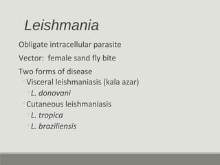 Leishmania
Obligate intracellular parasite
Vector: female sand fly bite
Two forms of disease
◦Visceral leishmaniasis (kala azar)
◦L. donovani
◦Cutaneous leishmaniasis
◦L. tropica
◦L. braziliensis
 