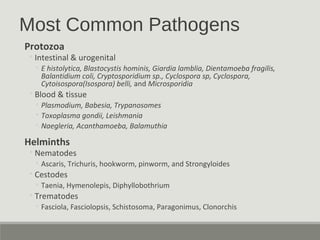 Most Common Pathogens
Protozoa
◦Intestinal & urogenital
◦ E histolytica, Blastocystis hominis, Giardia lamblia, Dientamoeba fragilis,
Balantidium coli, Cryptosporidium sp., Cyclospora sp, Cyclospora,
Cytoisospora(Isospora) belli, and Microsporidia
◦Blood & tissue
◦ Plasmodium, Babesia, Trypanosomes
◦ Toxoplasma gondii, Leishmania
◦ Naegleria, Acanthamoeba, Balamuthia
Helminths
◦Nematodes
◦ Ascaris, Trichuris, hookworm, pinworm, and Strongyloides
◦Cestodes
◦ Taenia, Hymenolepis, Diphyllobothrium
◦Trematodes
◦ Fasciola, Fasciolopsis, Schistosoma, Paragonimus, Clonorchis
 