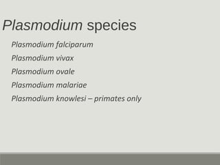 Plasmodium species
Plasmodium falciparum
Plasmodium vivax
Plasmodium ovale
Plasmodium malariae
Plasmodium knowlesi – primates only
 
