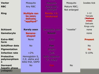 ovaleovale
VectorVector MosquitoMosquito MosquitoMosquito MosquitoMosquito Ixodes tickIxodes tick
RBCRBC Any RBCAny RBC Young RBC;Young RBC;
enlargedenlarged
Mature RBC;Mature RBC;
Not enlargedNot enlarged
RingRing Multiple canMultiple can
be seen;be seen;
delicate;delicate;
“appliqué”“appliqué”
Rarely >1;Rarely >1;
thickenedthickened
1-121-12
TetradsTetrads
((MalteseMaltese
crosscross))
DelicateDelicate
Rings onlyRings only
SchizontSchizont Rarely seenRarely seen Commonly seenCommonly seen ““rosette”rosette” nonenone
GametocyteGametocyte Banana-Banana-
shapedshaped
RoundRound nonenone
Extra-RBCExtra-RBC
formform
NoneNone NoneNone PresentPresent
Schüffner dotsSchüffner dots NoNo YesYes NoNo
PigmentationPigmentation BrownBrown NoNo
Infection rateInfection rate >2%>2% <2%<2% 5-10%5-10%
ProtectiveProtective
polymorphismpolymorphism
ss
Hemoglobin S,Hemoglobin S,
C,E, alpha andC,E, alpha and
beta thal, G6PDbeta thal, G6PD
Duffy negativeDuffy negative
(P. vivax)(P. vivax)
DormantDormant
hepatic phasehepatic phase
(relapse)(relapse)
NoNo YesYes NoNo
 