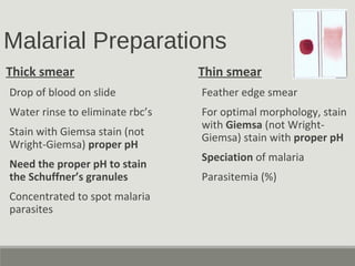 Malarial Preparations
Thick smear
Drop of blood on slide
Water rinse to eliminate rbc’s
Stain with Giemsa stain (not
Wright-Giemsa) proper pH
Need the proper pH to stain
the Schuffner’s granules
Concentrated to spot malaria
parasites
Thin smear
Feather edge smear
For optimal morphology, stain
with Giemsa (not Wright-
Giemsa) stain with proper pH
Speciation of malaria
Parasitemia (%)
 