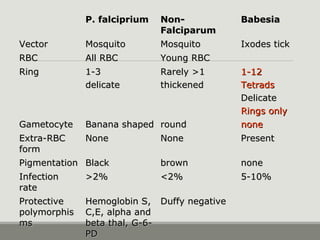 P. falcipriumP. falciprium Non-Non-
FalciparumFalciparum
BabesiaBabesia
VectorVector MosquitoMosquito MosquitoMosquito Ixodes tickIxodes tick
RBCRBC All RBCAll RBC Young RBCYoung RBC
RingRing 1-31-3
delicatedelicate
Rarely >1Rarely >1
thickenedthickened
1-121-12
TetradsTetrads
DelicateDelicate
Rings onlyRings only
GametocyteGametocyte Banana shapedBanana shaped roundround nonenone
Extra-RBCExtra-RBC
formform
NoneNone NoneNone PresentPresent
PigmentationPigmentation BlackBlack brownbrown nonenone
InfectionInfection
raterate
>2%>2% <2%<2% 5-10%5-10%
ProtectiveProtective
polymorphispolymorphis
msms
Hemoglobin S,Hemoglobin S,
C,E, alpha andC,E, alpha and
beta thal, G-6-beta thal, G-6-
PDPD
Duffy negativeDuffy negative
 