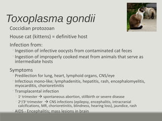 Toxoplasma gondii
Coccidian protozoan
House cat (kittens) = definitive host
Infection from:
◦Ingestion of infective oocysts from contaminated cat feces
◦Ingestion of improperly cooked meat from animals that serve as
intermediate hosts
Symptoms
◦Predilection for lung, heart, lymphoid organs, CNS/eye
◦Infectious mono-like; lymphadenitis, hepatitis, rash, encephalomyelitis,
myocarditis, chorioretinitis
◦Transplacental infection
◦ 1st
trimester  spontaneous abortion, stillbirth or severe disease
◦ 2nd
/3rd
trimester  CNS infections (epilepsy, encephalitis, intracranial
calcifications, MR, chorioretinitis, blindness, hearing loss), jaundice, rash
◦AIDS - Encephalitis; mass lesions in brain
 