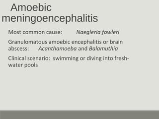 Amoebic
meningoencephalitis
Most common cause: Naegleria fowleri
Granulomatous amoebic encephalitis or brain
abscess: Acanthamoeba and Balamuthia
Clinical scenario: swimming or diving into fresh-
water pools
 