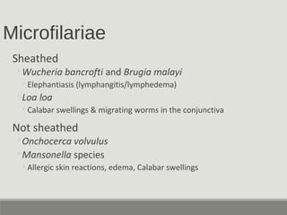 Microfilariae
Sheathed
◦Wucheria bancrofti and Brugia malayi
◦Elephantiasis (lymphangitis/lymphedema)
◦Loa loa
◦Calabar swellings & migrating worms in the conjunctiva
Not sheathed
◦Onchocerca volvulus
◦Mansonella species
◦Allergic skin reactions, edema, Calabar swellings
 