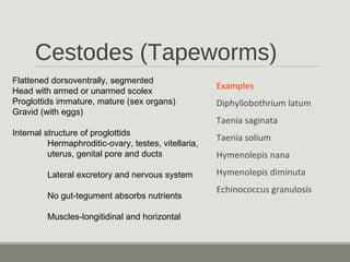 Parasitology Review 2017