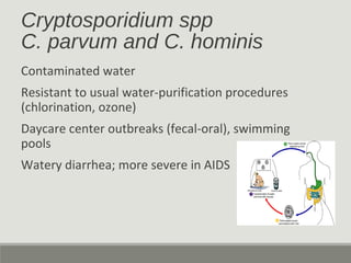 Cryptosporidium spp
C. parvum and C. hominis
Contaminated water
Resistant to usual water-purification procedures
(chlorina...