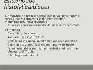 Entamoeba
histolytica/dispar
E. histolytica is a pathogen and E. dispar is a nonpathogenic
species that can also occur in ...