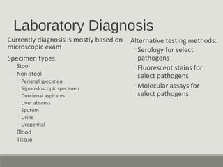 Laboratory Diagnosis
Currently diagnosis is mostly based on
microscopic exam
Specimen types:
◦Stool
◦Non-stool
◦ Perianal ...