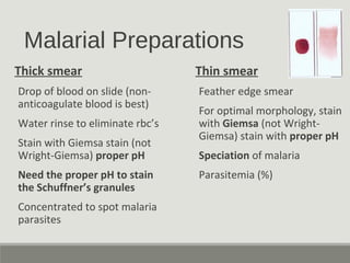 Malarial Preparations
Thick smear
Drop of blood on slide (non-
anticoagulate blood is best)
Water rinse to eliminate rbc’s...