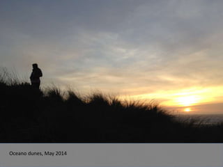 Oceano dunes, May 2014
 