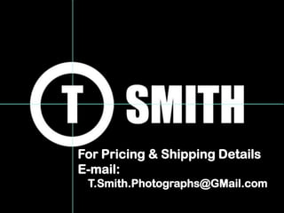For Pricing & Shipping Details
E-mail:
T.Smith.Photographs@GMail.com
 