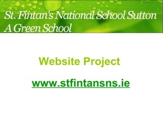 Website Project  www.stfintansns.ie 