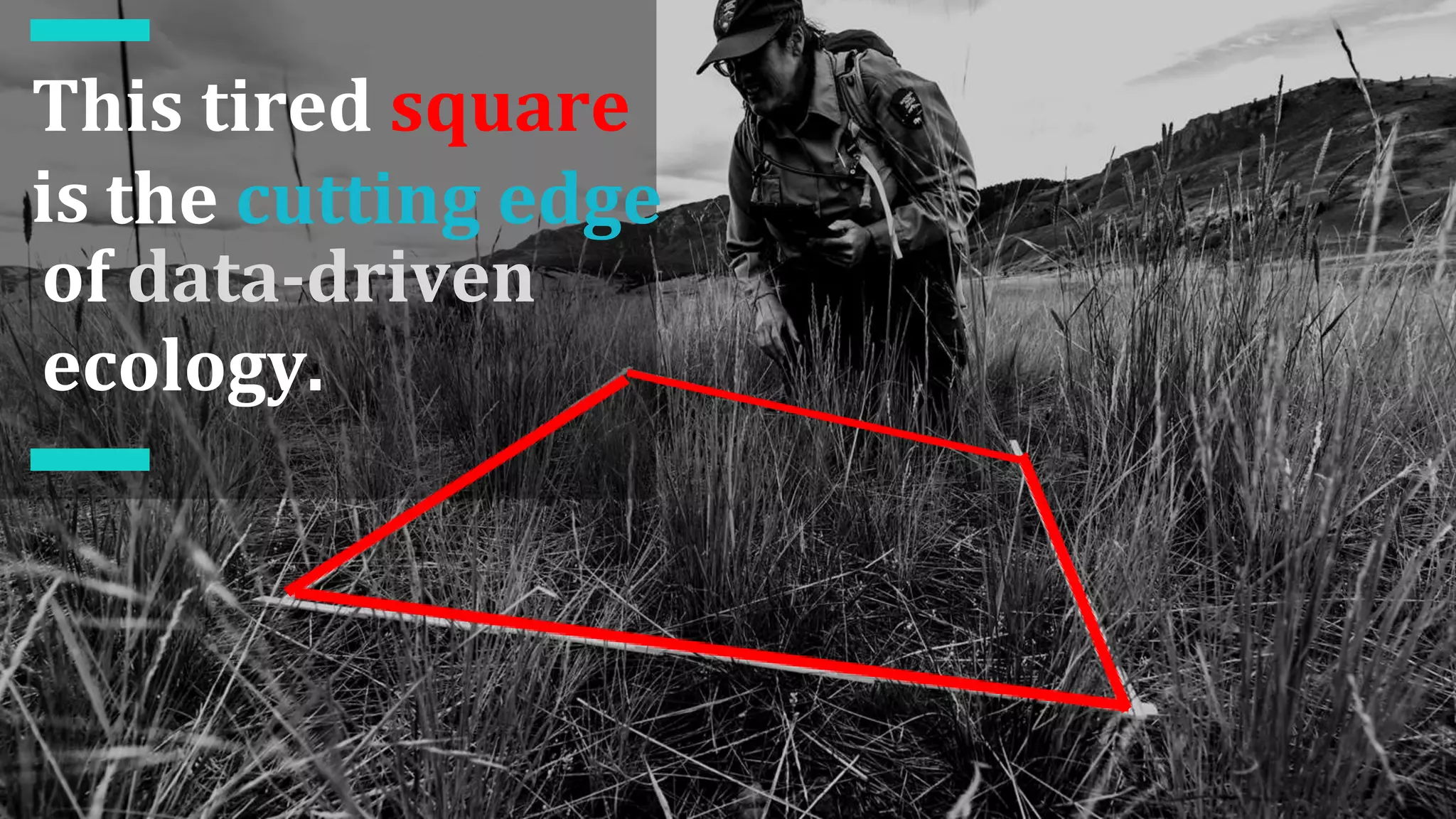 This tired square
is the cutting edge
of data-driven
ecology.
 