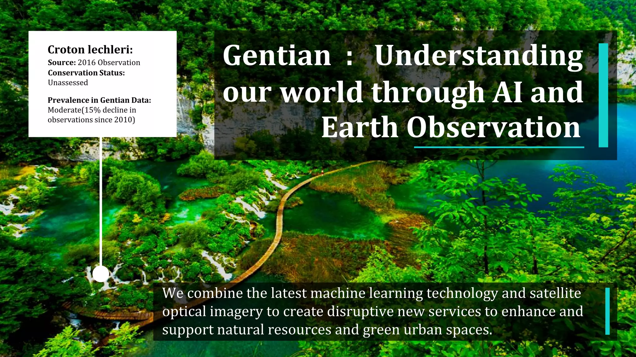 Prevalence in Gentian Data:
Moderate(15% decline in
observations since 2010)
Croton lechleri:
Source: 2016 Observation
Conservation Status:
Unassessed
We combine the latest machine learning technology and satellite
optical imagery to create disruptive new services to enhance and
support natural resources and green urban spaces.
Gentian : Understanding
our world through AI and
Earth Observation
 