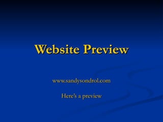 Website Preview www.sandysondrol.com Here’s a preview 