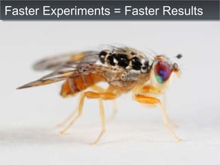 Faster Experiments = Faster Results 