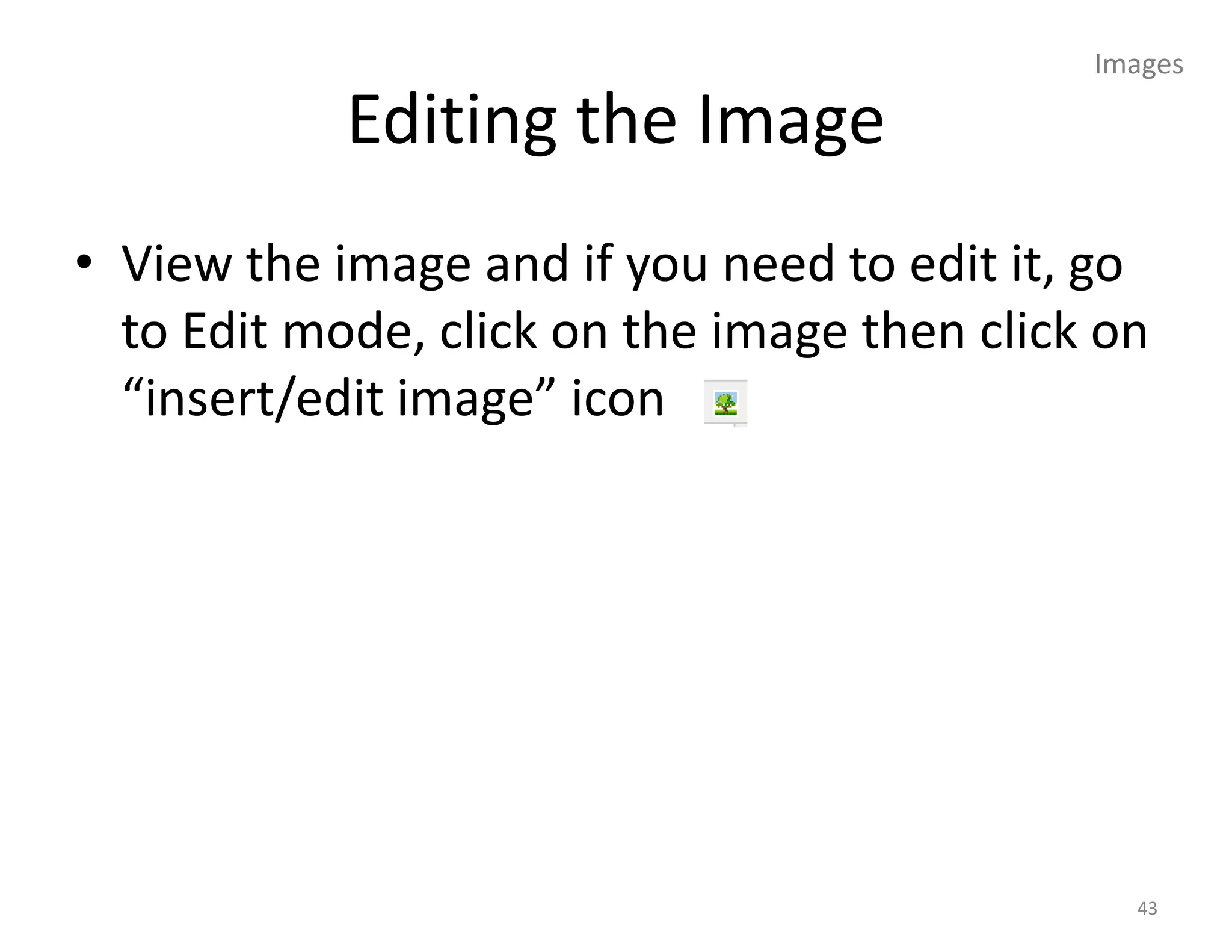 Images

            Editing the Image
• View the image and if you need to edit it, go
  to Edit mode, click on the image then click on
  “insert/edit image” icon




                                               43
 