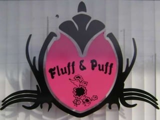 Fluff & Puff Pet Boutique Tour