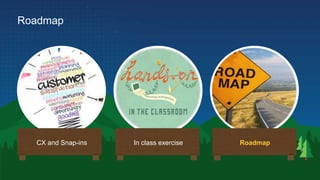 Roadmap
In class exercise RoadmapCX and Snap-ins
 