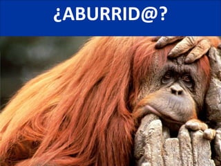 ¿ABURRID@?
 