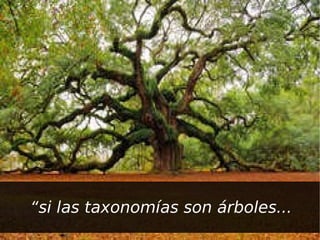 “ si las taxonomías son árboles... 