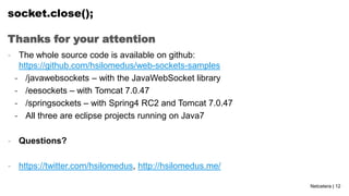 Web sockets in Java | PPTX