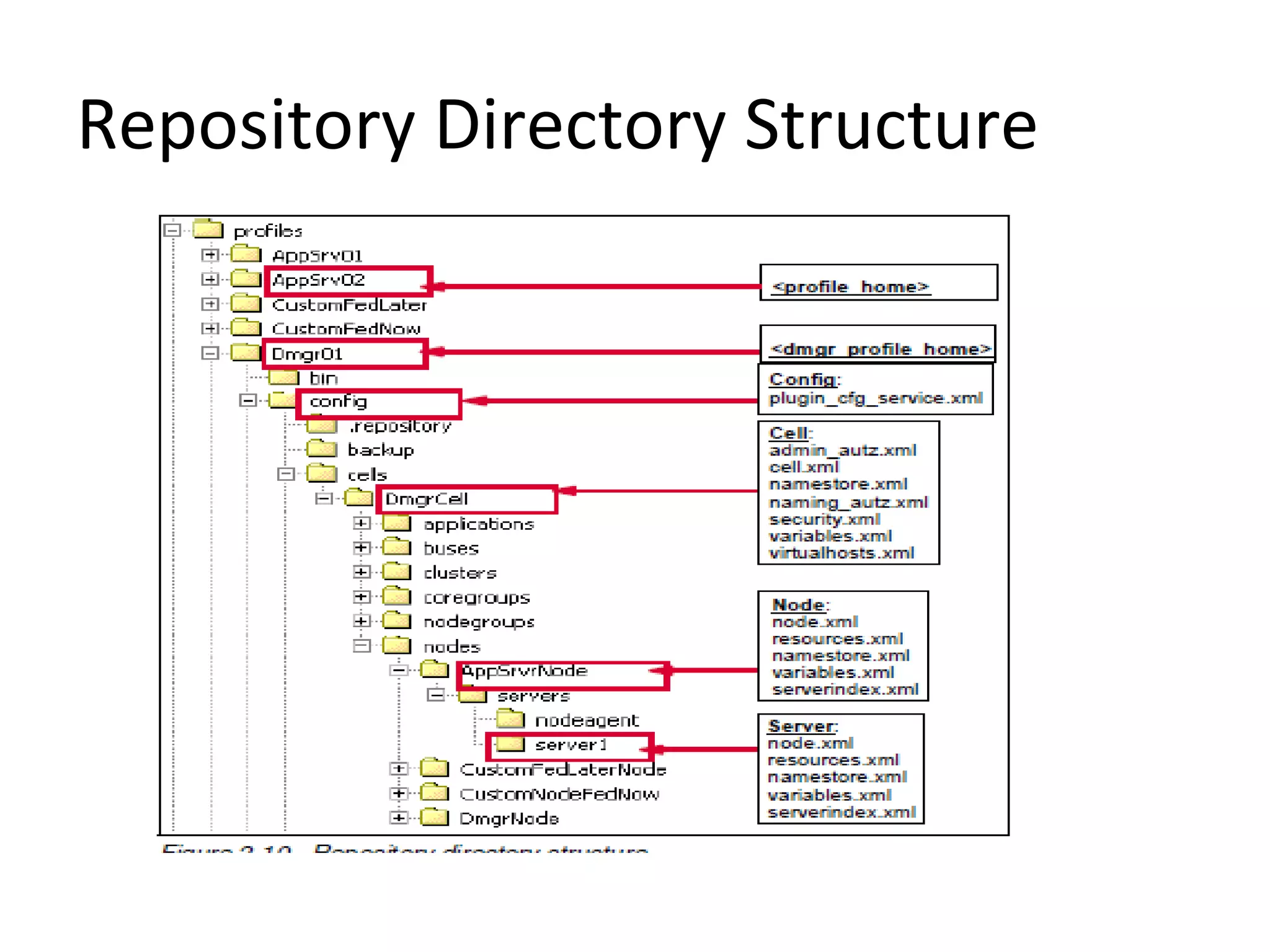Repository Directory Structure
 
