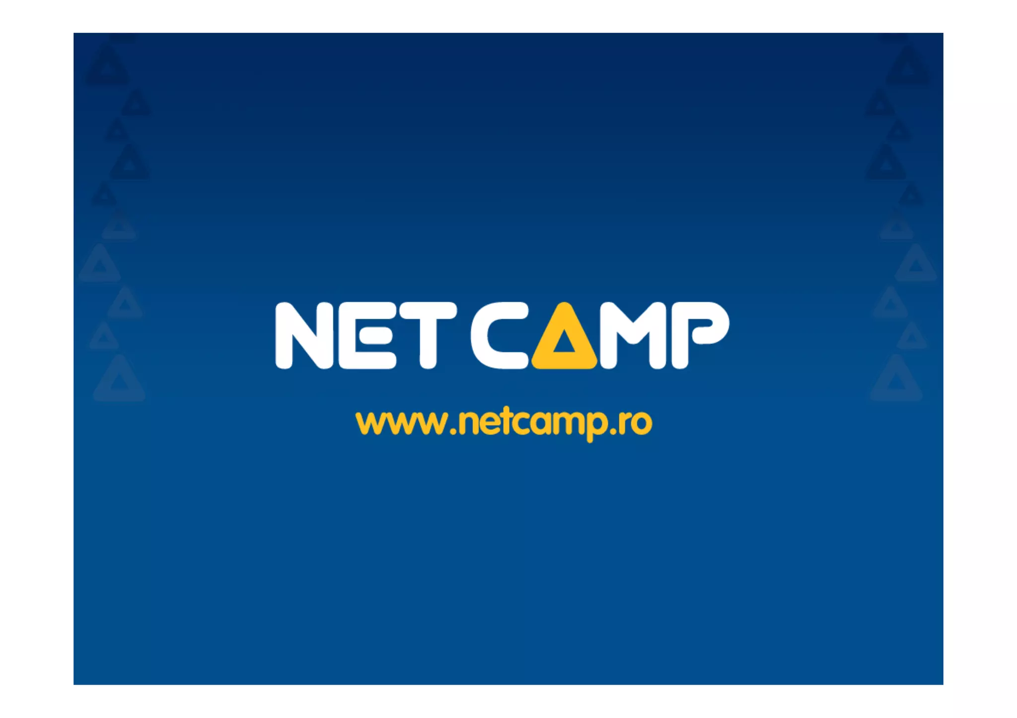 Web Start-Up Survey 2010