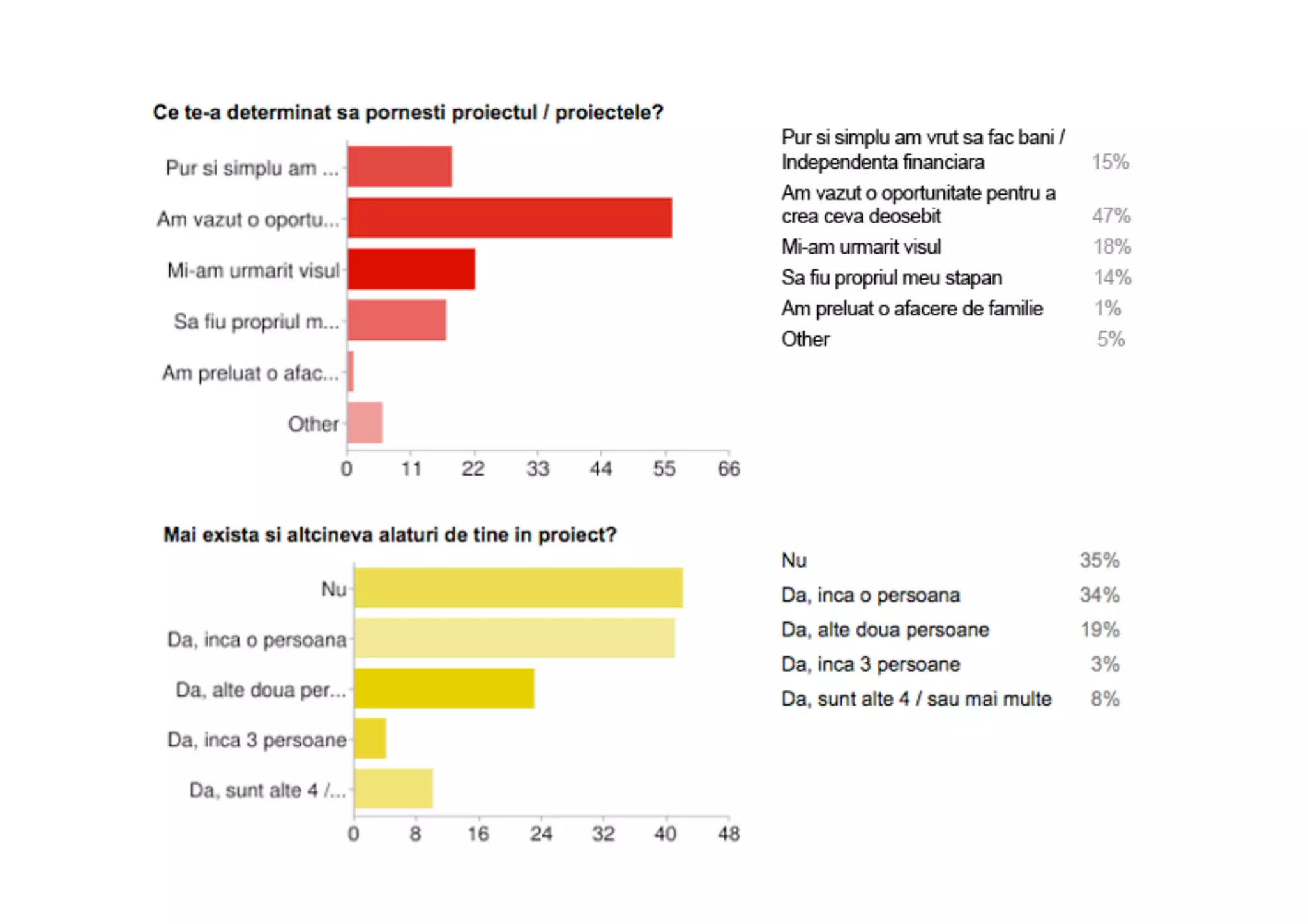 Web Start-Up Survey 2010