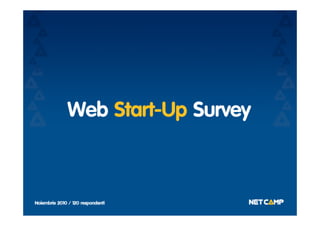 Web Start-Up Survey 2010