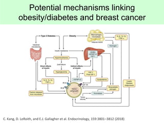 C. Kang, D. LeRoith, and E.J. Gallagher et al. Endocrinology, 159:3801–3812 (2018)
Potential mechanisms linking
obesity/di...