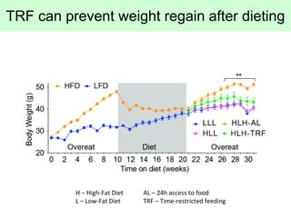 TRF can prevent weight regain after dieting
H – High-Fat Diet AL – 24h access to food
L – Low-Fat Diet TRF – Time-restrict...