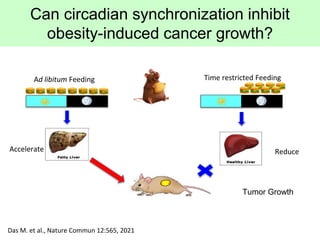 Can circadian synchronization inhibit
obesity-induced cancer growth?
Ad libitum Feeding
Reduce
Tumor Growth
Time restricte...