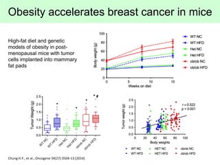 Obesity accelerates breast cancer in mice
Chung H.Y., et al., Oncogene 34(27):3504-13 (2014)
High-fat diet and genetic
mod...