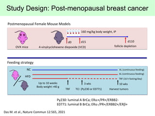 Study Design: Post-menopausal breast cancer
Postmenopausal Female Mouse Models
OVX mice 4-vinylcyclohexene diepoxide (VCD)...