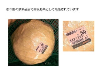 2012年より神奈川県にある養鶏農家株式会社コトブキ園と共に
高品質な鶏糞堆肥の製造を開始し、
神奈川県トリ研究会で鶏糞堆肥製造の勉強会を行う
鶏糞処理場
 