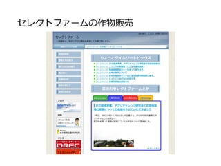サイト運営で重要な言葉
コンバージョン率
ウェブサイトへのアクセス数、またはユニークユーザー
のうち、何割が商品購入や資料請求などの、ウェブサイ
ト上から獲得できる最終成果に至るかの割合を示す指標
(インターネット広告用語辞典より)
要はサイトを見てくれた人のどれだけが商品を購
入してくれたか？の割合
 