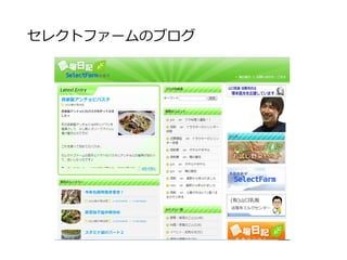 ブログにアップしてきた記事:一例
平然とたたずむ（ように見える）玉ねぎたち
最近の極寒状態にも、
平然と植わっているように見えます。
まあ実際は、
寒さに対応すべく細胞の浸透圧を上げるため、
光合成産物の少ない中必死にやりくりしている
のでしょうね。
同じ場所にずっと植わり続けるためにも、常に
変化し続けねばならないわけで。(以下略)
赤の女王仮説(進化論の一つ)をベースに記事を投稿
 