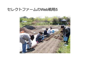 セレクトファームのWeb戦略5
セレクトファームの畑で勉強会
栽培者同士の集まりではなく、栄養士の方や料理人の方を
積極的に呼んだ。(普段の仕事の箔になるように)
名目は
普段仕事で使っている野菜の栽培現場を観察してください
勉強会の様子をリンクと一緒に投稿してもらう
 