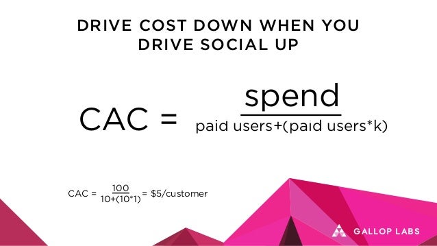 Web summit 2020 picture