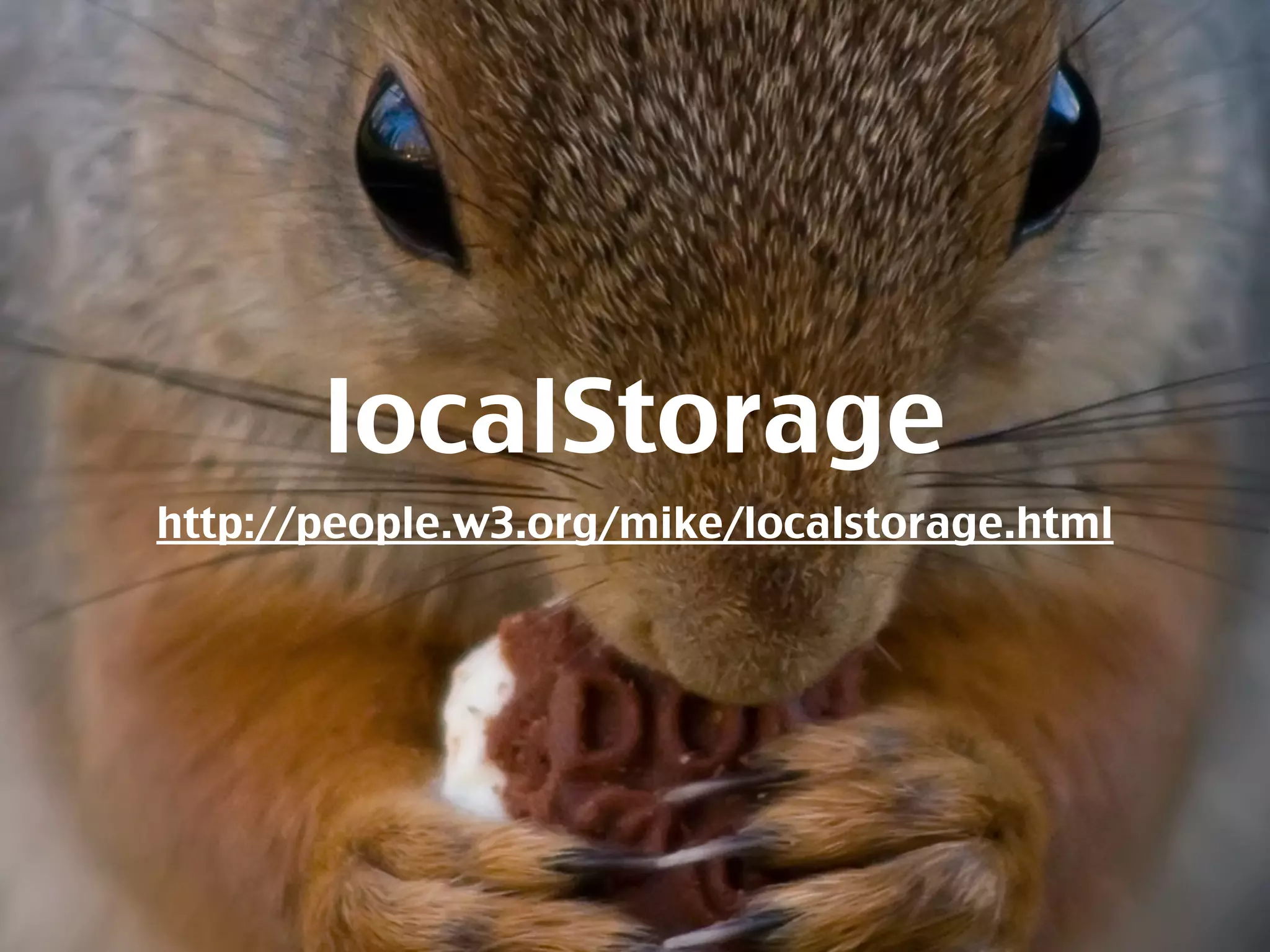 localStorage
http://people.w3.org/mike/localstorage.html
 