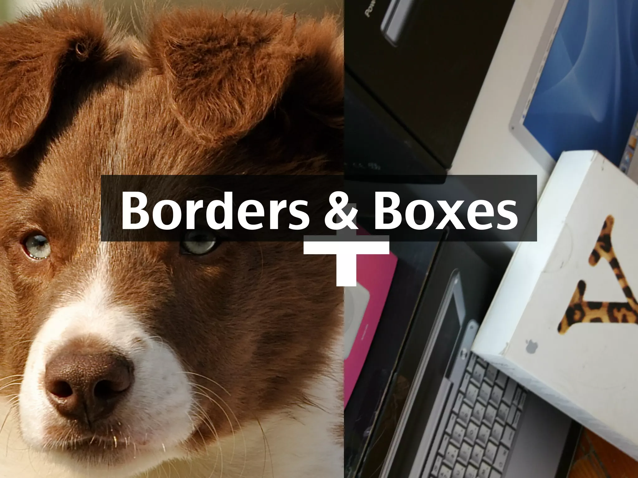+
Borders & Boxes
 